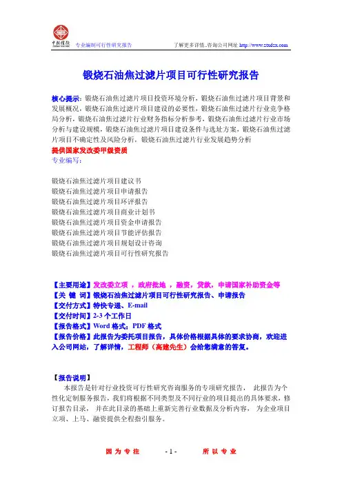 锻烧石油焦过滤片项目可行性研究报告