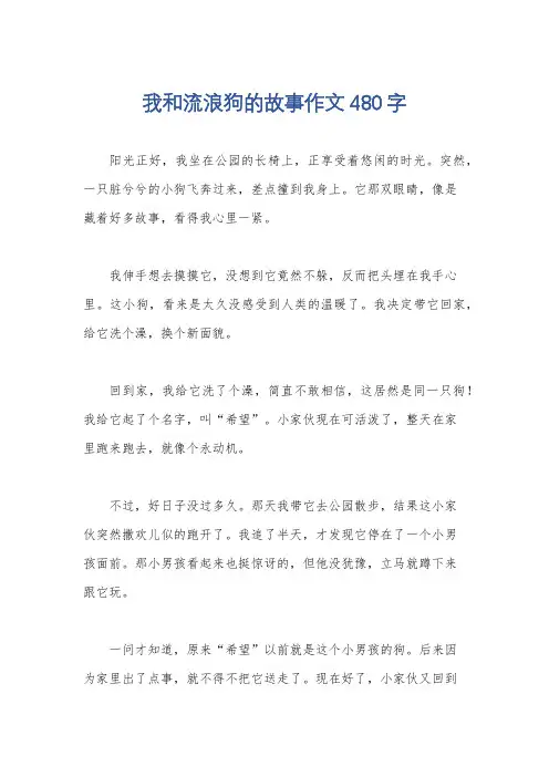 我和流浪狗的故事作文480字