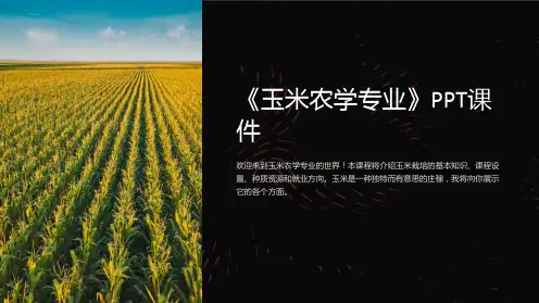 《玉米农学专业》课件