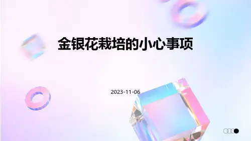 金银花栽培的小心事项