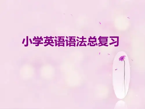 小学小升初英语语法总复习(整理版)PPT课件