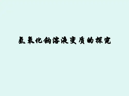 氢氧化钠变质的探究加题PPT课件