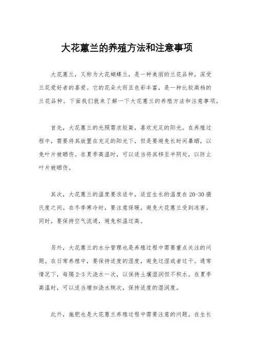 大花蕙兰的养殖方法和注意事项