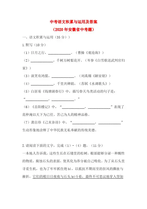 中考语文积累与运用及答案(2020年安徽省中考题)