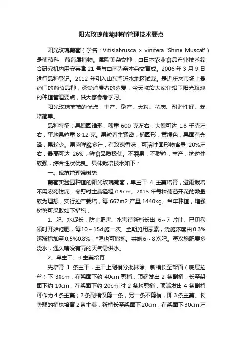 阳光玫瑰葡萄种植管理技术要点