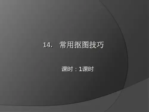 PS技巧常用抠图技巧PPT课件