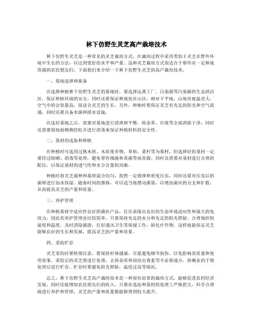 林下仿野生灵芝高产栽培技术