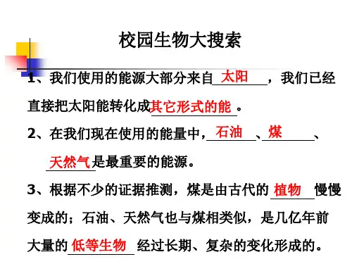 教科版科学六上能量与太阳课件