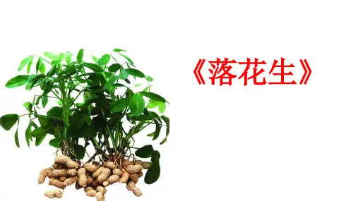 部编版五年级语文上册《读写结合,感悟借物喻人》课件