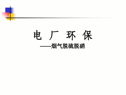 烟气脱硫脱硝PPT讲解教学文稿