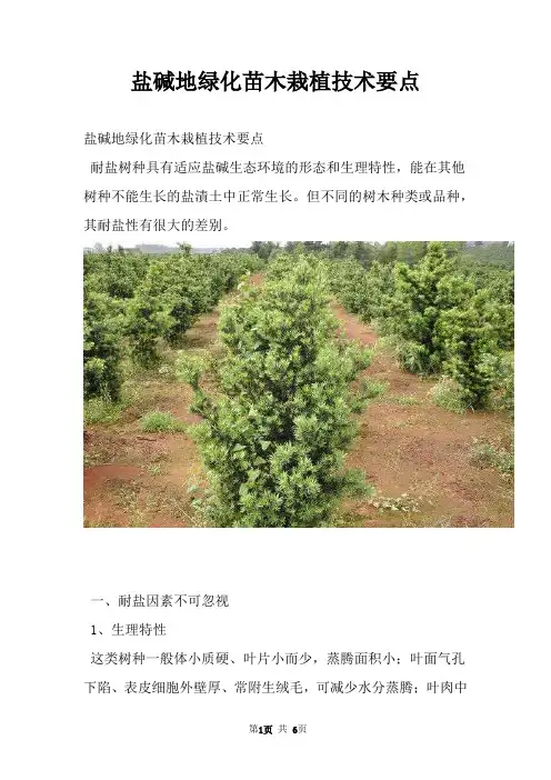 盐碱地绿化苗木栽植技术要点