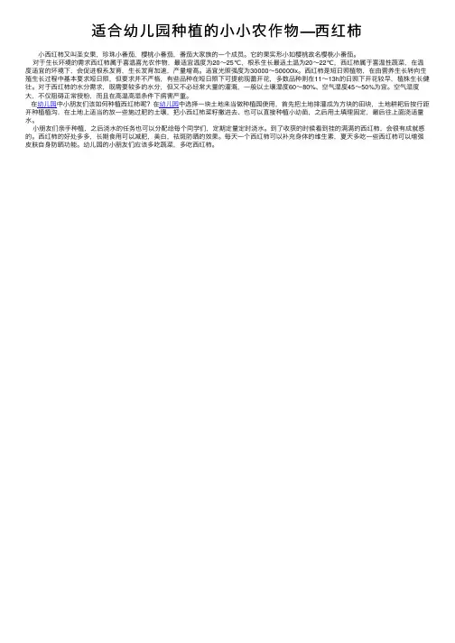 适合幼儿园种植的小小农作物—西红柿