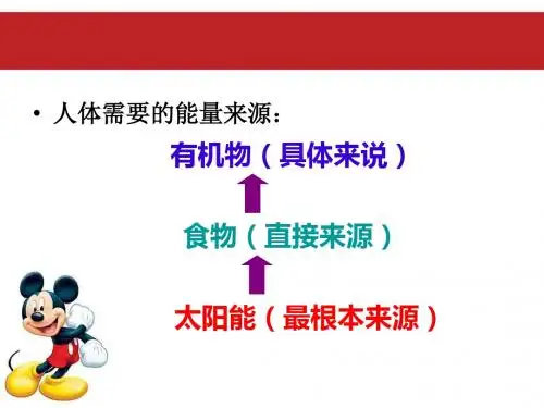 人体内能量的利用