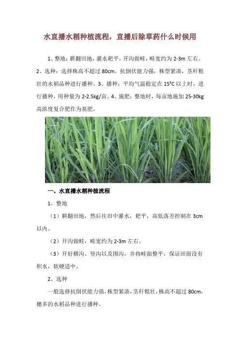 水直播水稻种植流程,直播后除草药什么时候用