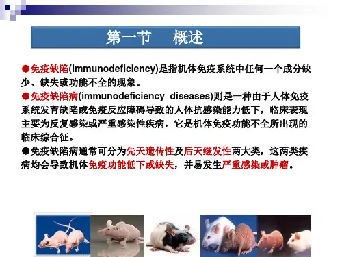 免疫缺陷中国科学技术大学试验动物中心课件