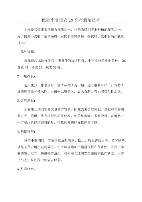 优质小麦烟农19高产栽培技术