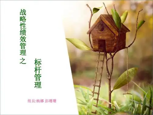 战略性绩效管理 之标杆管理