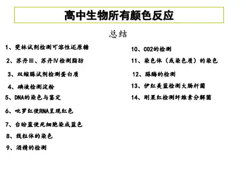 高中生物所有de颜色反应