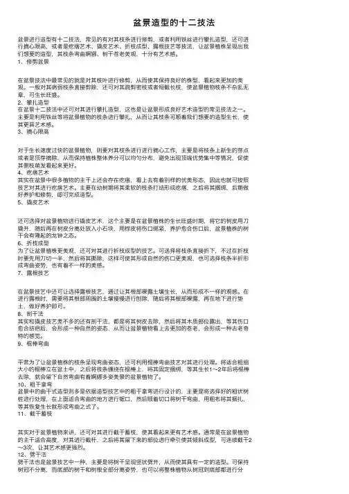 盆景造型的十二技法
