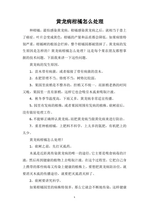 黄龙病柑橘怎么处理