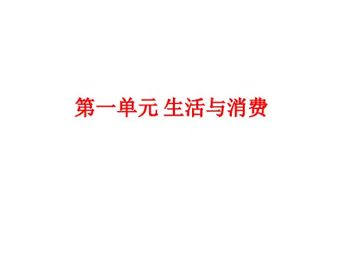 2021年高考政治一轮复习课件：经济生活第三课多彩的消费(共22张PPT)