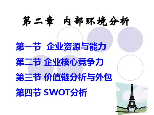 第三章内部环境分析