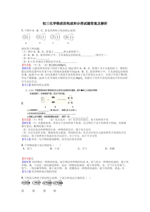 初三化学物质的构成和分类试题答案及解析
