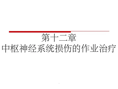 第十二章中枢神经系统损伤