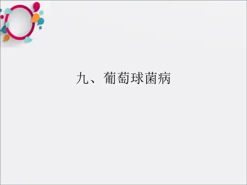《葡萄球菌病》PPT课件