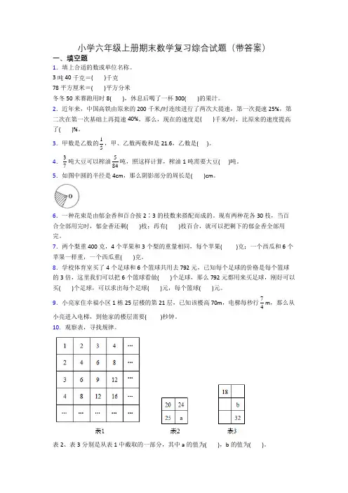 小学六年级上册期末数学复习综合试题(带答案)