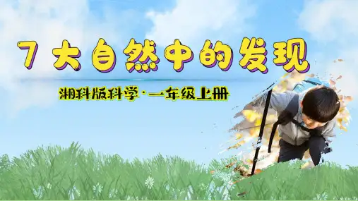 (2024)新版湘科版科学一年级上册(7)大自然中的发现-PPT课件