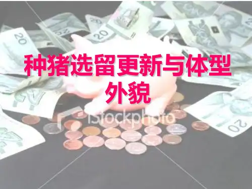 种猪选留更新与体型外貌PPT课件