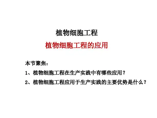 植物细胞工程的应用