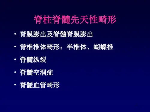 脊柱及脊髓病变的MRI表现