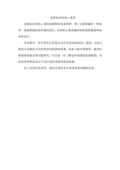 水稻抗纹枯病r基因