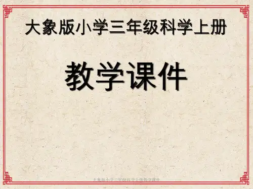 大象版小学三年级科学上册教学课件