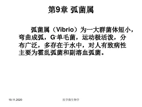医学微生物学-第9章弧菌属PPT课件
