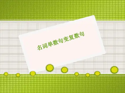 小学英语名词单数句变复数句