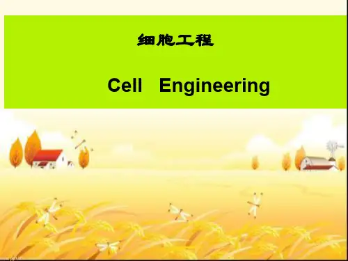 细胞工程简介ppt