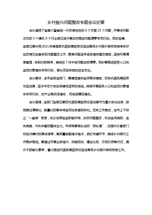 乡村振兴问题整改专题会议纪要