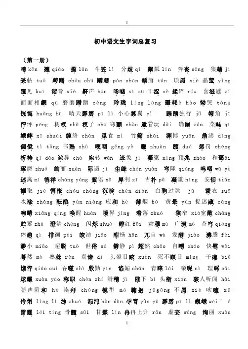 初中生字词总复习