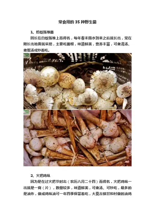 常食用的35种野生菌