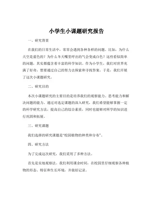 小学生小课题研究报告