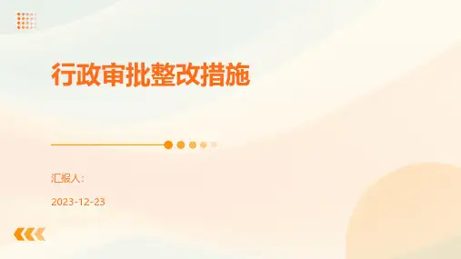 行政审批整改措施