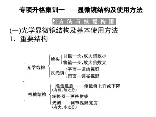 高一生物显微镜结构及使用方法(教学课件201911)