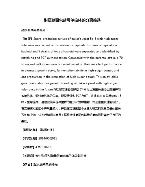 耐高糖面包酵母单倍体的分离筛选