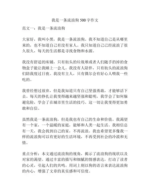 我是一条流浪狗500字作文