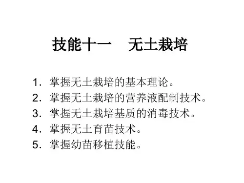 技能十一   无土栽培
