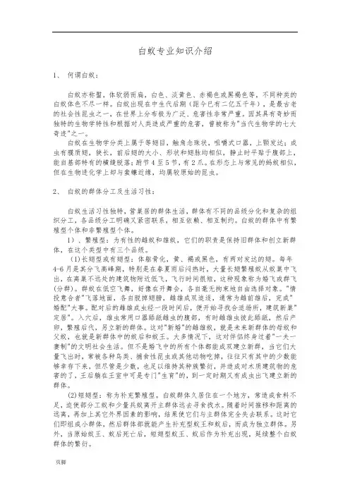 白蚁专业知识介绍