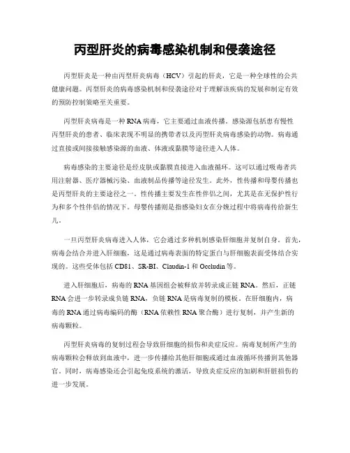 丙型肝炎的病毒感染机制和侵袭途径